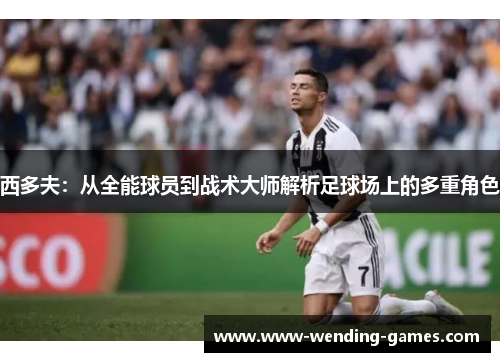 西多夫:从全能球员到战术大师解析足球场上的多重角色 西多夫:从全能球员到战术大师解析足球场上的多重角色