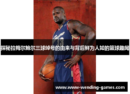 探秘拉梅尔鲍尔三球绰号的由来与背后鲜为人知的篮球趣闻