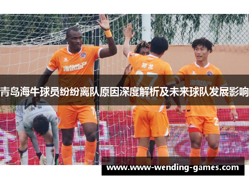 青岛海牛球员纷纷离队原因深度解析及未来球队发展影响